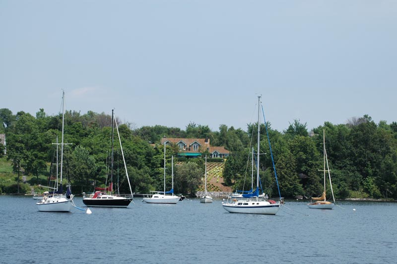DSC_1224
