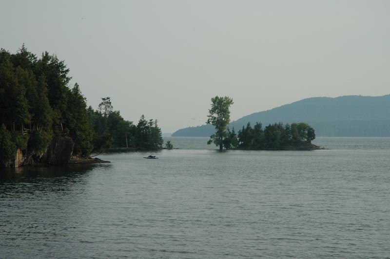 DSC_1241
